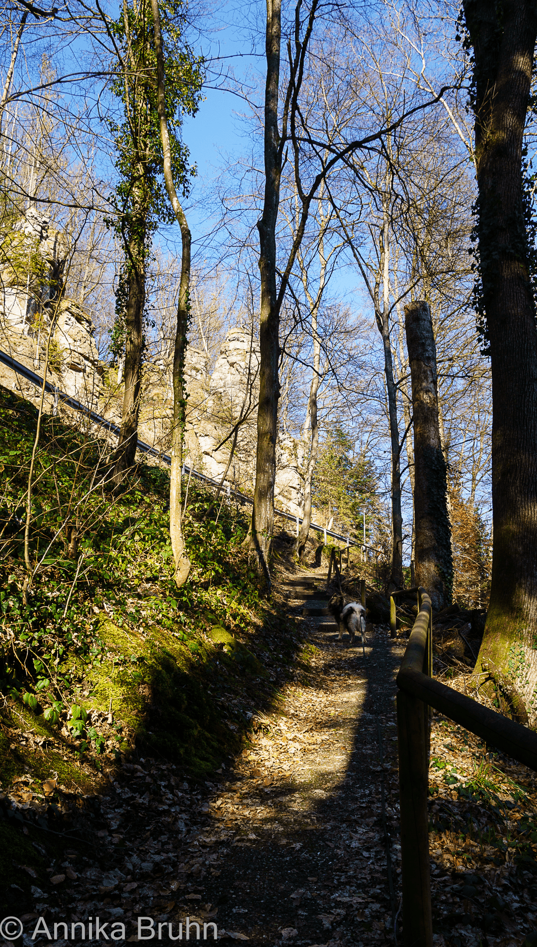 Schneller! Q hat es eilig!